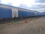 CPS FLT-302325-7